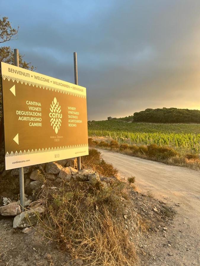 Cantina&Agriturismo Canu Villa Luogosanto Eksteriør bilde